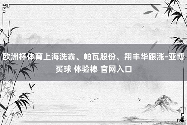 欧洲杯体育上海洗霸、帕瓦股份、翔丰华跟涨-亚博买球 体验棒 官网入口