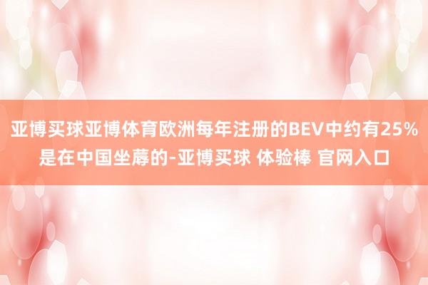 亚博买球亚博体育欧洲每年注册的BEV中约有25%是在中国坐蓐的-亚博买球 体验棒 官网入口