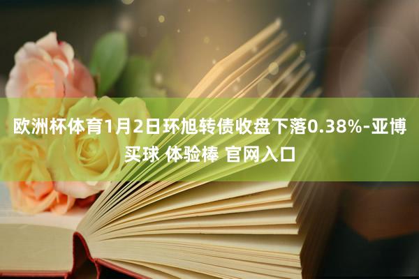 欧洲杯体育1月2日环旭转债收盘下落0.38%-亚博买球 体验棒 官网入口