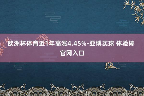 欧洲杯体育近1年高涨4.45%-亚博买球 体验棒 官网入口