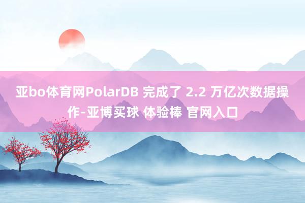 亚bo体育网PolarDB 完成了 2.2 万亿次数据操作-亚博买球 体验棒 官网入口