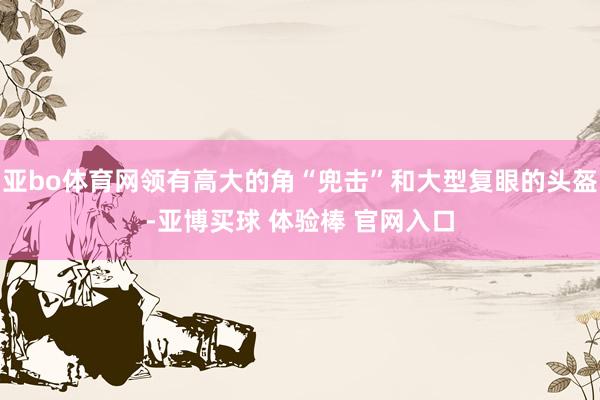亚bo体育网领有高大的角“兜击”和大型复眼的头盔-亚博买球 体验棒 官网入口