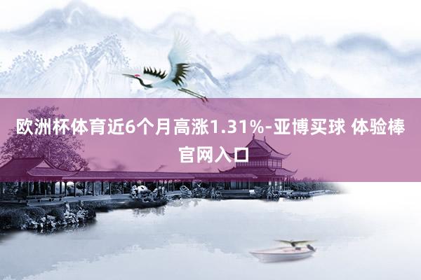 欧洲杯体育近6个月高涨1.31%-亚博买球 体验棒 官网入口