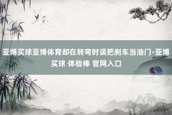 亚博买球亚博体育却在转弯时误把刹车当油门-亚博买球 体验棒 官网入口