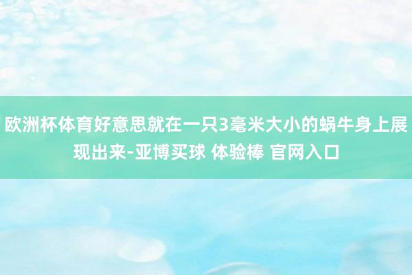 欧洲杯体育好意思就在一只3毫米大小的蜗牛身上展现出来-亚博买球 体验棒 官网入口