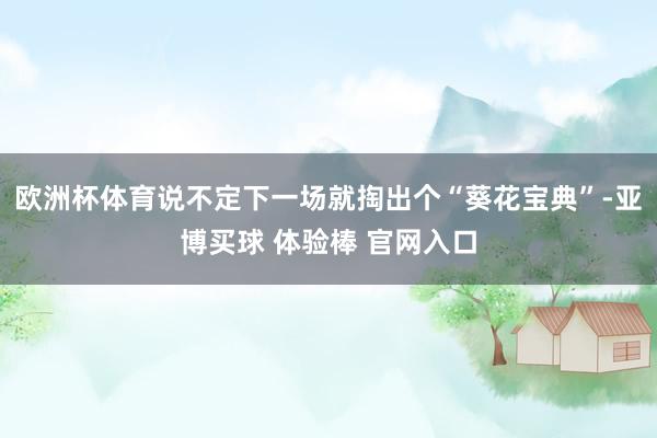 欧洲杯体育说不定下一场就掏出个“葵花宝典”-亚博买球 体验棒 官网入口