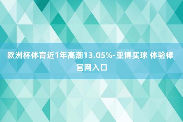 欧洲杯体育近1年高潮13.05%-亚博买球 体验棒 官网入口