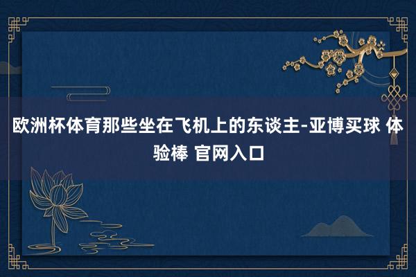 欧洲杯体育那些坐在飞机上的东谈主-亚博买球 体验棒 官网入口