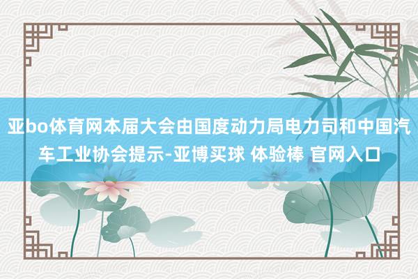 亚bo体育网本届大会由国度动力局电力司和中国汽车工业协会提示-亚博买球 体验棒 官网入口