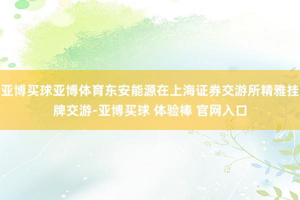 亚博买球亚博体育东安能源在上海证券交游所精雅挂牌交游-亚博买球 体验棒 官网入口