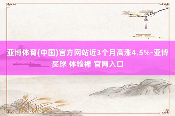 亚博体育(中国)官方网站近3个月高涨4.5%-亚博买球 体验棒 官网入口