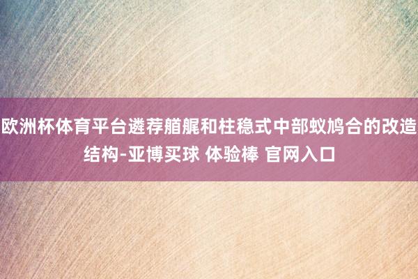 欧洲杯体育平台遴荐艏艉和柱稳式中部蚁鸠合的改造结构-亚博买球 体验棒 官网入口