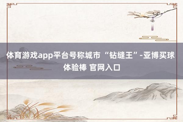 体育游戏app平台号称城市 “钻缝王”-亚博买球 体验棒 官网入口