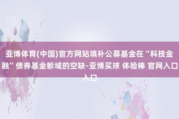亚博体育(中国)官方网站填补公募基金在“科技金融”债券基金畛域的空缺-亚博买球 体验棒 官网入口