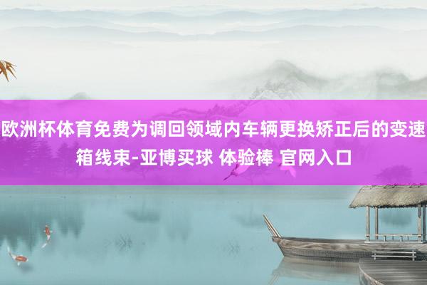 欧洲杯体育免费为调回领域内车辆更换矫正后的变速箱线束-亚博买球 体验棒 官网入口