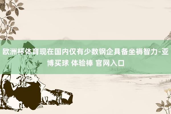 欧洲杯体育现在国内仅有少数钢企具备坐褥智力-亚博买球 体验棒 官网入口