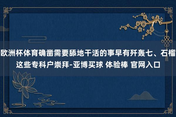 欧洲杯体育确凿需要舔地干活的事早有歼轰七、石榴这些专科户崇拜-亚博买球 体验棒 官网入口