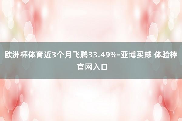欧洲杯体育近3个月飞腾33.49%-亚博买球 体验棒 官网入口