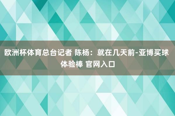 欧洲杯体育总台记者 陈杨：就在几天前-亚博买球 体验棒 官网入口