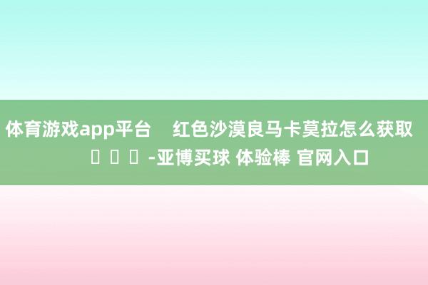 体育游戏app平台    红色沙漠良马卡莫拉怎么获取        			-亚博买球 体验棒 官网入口